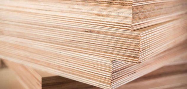 gỗ plywood
